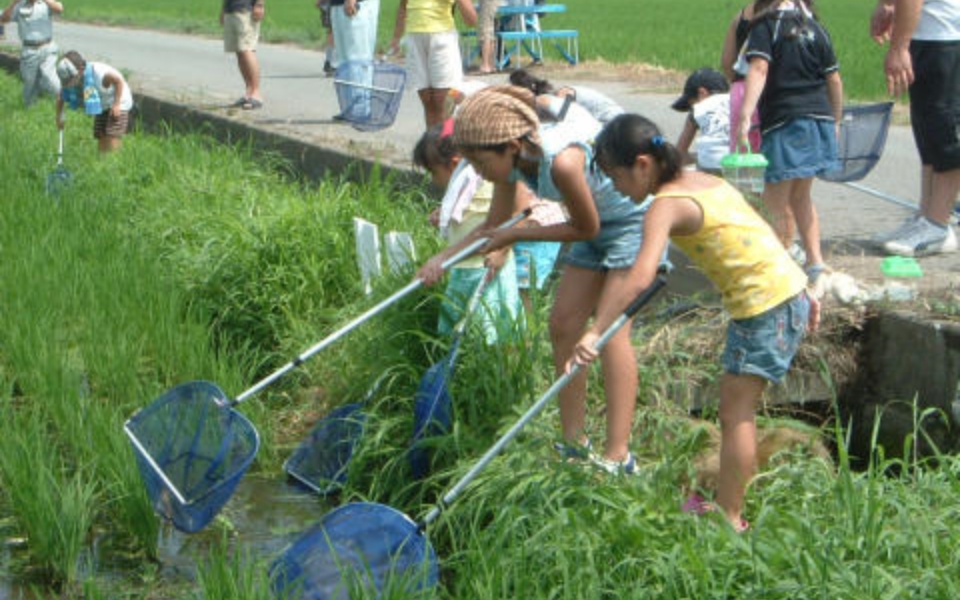 生き物調査