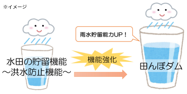 田んぼダムの概念図（コップ）