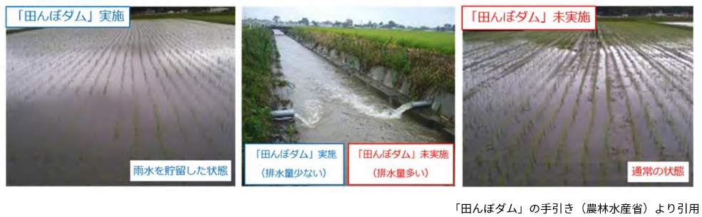 田んぼダムを実施している水田の排水イメージ